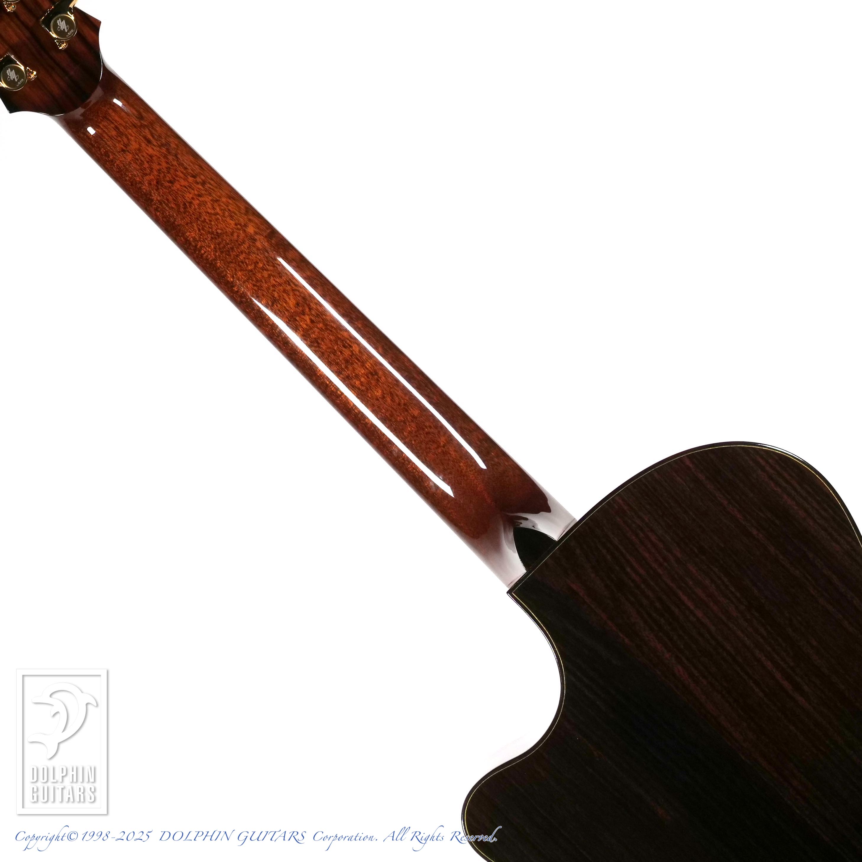 SWITCH Matsui Yuki 15th Anniversary #01|ドルフィンギターズ