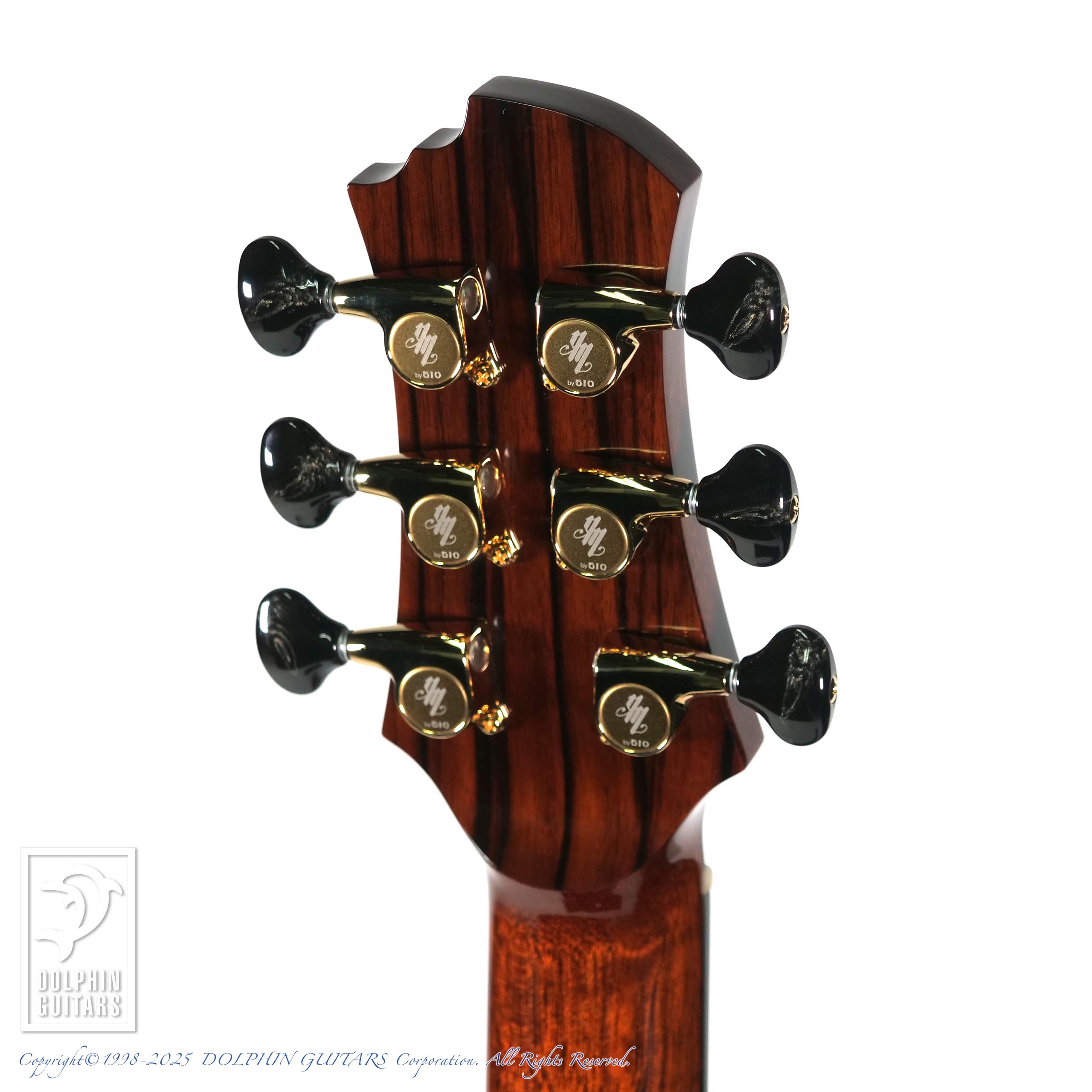 SWITCH Matsui Yuki 15th Anniversary #05|ドルフィンギターズ