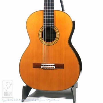 360 Concert-R 杉 630mm