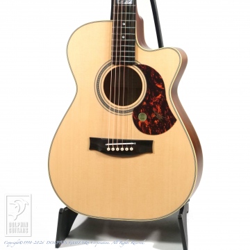 166 EBG808CTE (Tommy Emmanuel Signature)