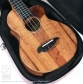 VT-CW All Koa Special13