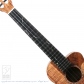 VT-CW All Koa Special4