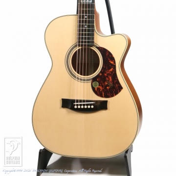 166 EBG808CTE (Tommy Emmanuel Signature)