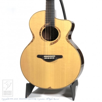 137 DOLPHIN l Custom