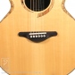 DOLPHIN l Custom9