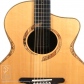 DOLPHIN l Custom10