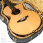 DOLPHIN l Custom12