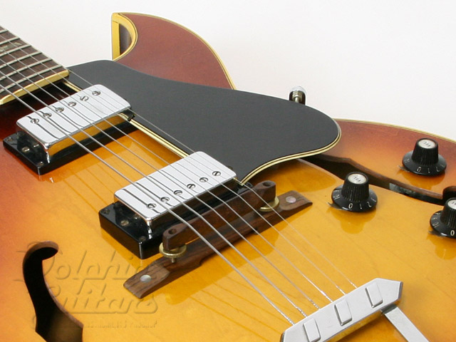 Gibson ES-175 |ドルフィンギターズ