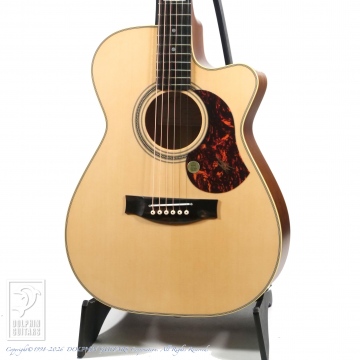 166 EBG808CTE (Tommy Emmanuel Signature)