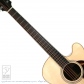 F-Cutaway (Short Scale)4