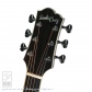 F-Cutaway (Short Scale)6