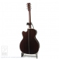 OM Cutaway (Short Scale)3
