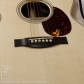 OM Cutaway (Short Scale)10
