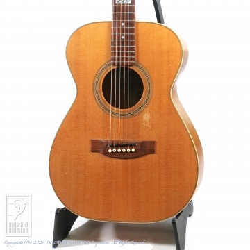 166 EBG808TE  (Tommy Emmanuel Signature)