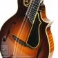 MF5 Deluxe Varnish10