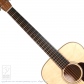 OM Flamed Maple (Short Scale)4