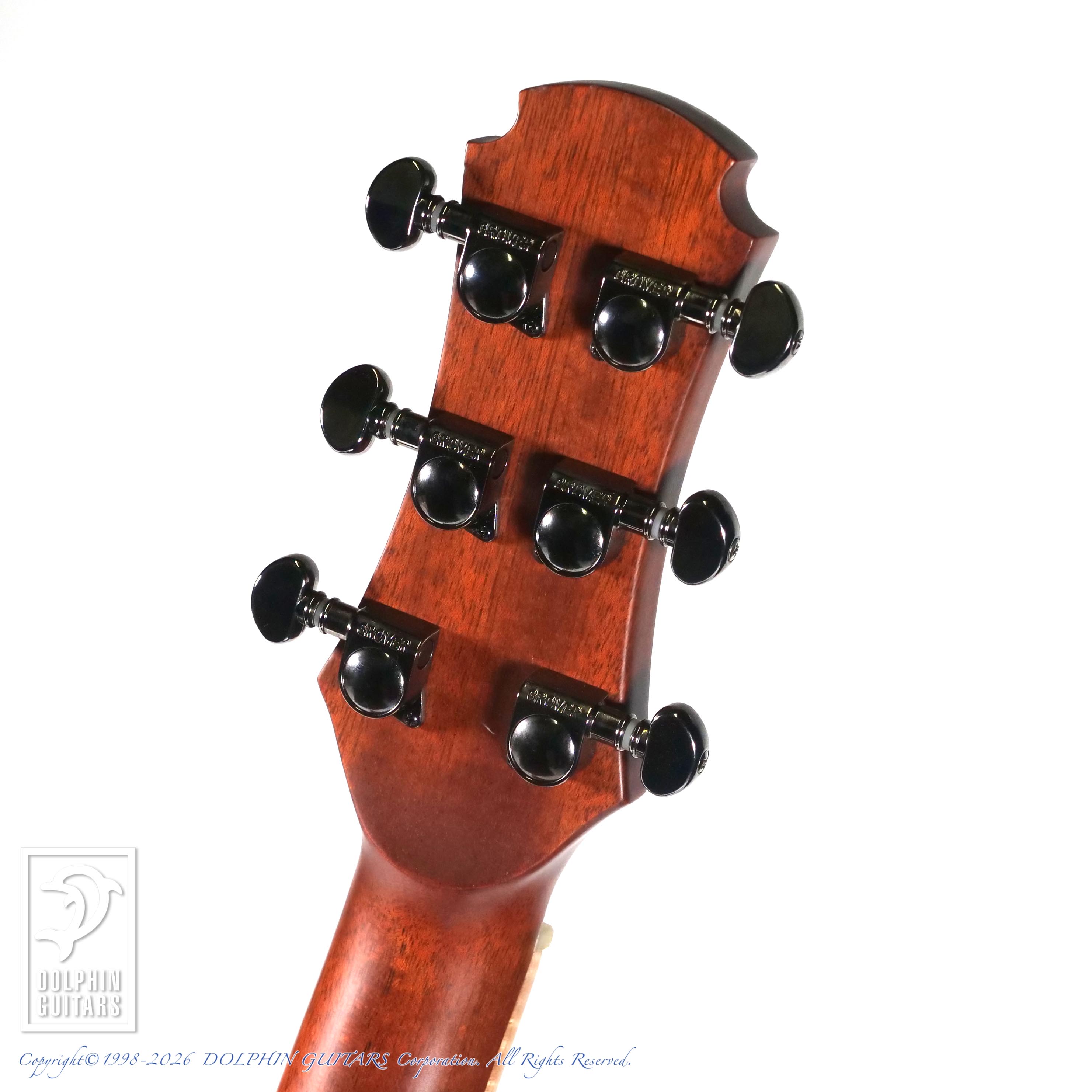 Maestro Guitars Vera PA CSB|ドルフィンギターズ