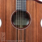 OM Cutaway (Sinker Redwood & Figured Mahogany)【サウンドメッセin大阪 2026出展作品】10