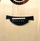 Model 15