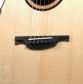 Caravyn (modified GS Cutaway)【サウンドメッセin大阪 2026出展作品】9