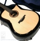 Caravyn (modified GS Cutaway)【サウンドメッセin大阪 2026出展作品】12