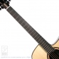 Caravyn (modified GS Cutaway)【サウンドメッセin大阪 2026出展作品】4