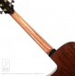 Wilaryn (Modified OM Cutaway)【サウンドメッセin大阪 2026出展作品】5