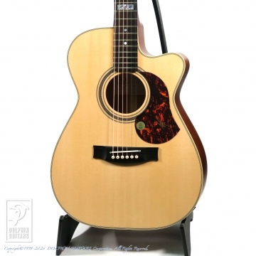 166 EBG808CTE (Tommy Emmanuel Signature)