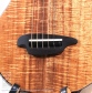 P-Alien (Piccolo Guitar)【サウンドメッセin大阪 2026出展作品】9