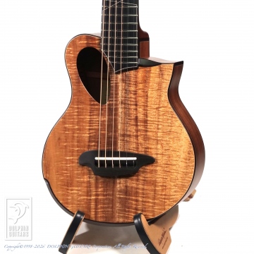145 P-Alien (Piccolo Guitar)<font color=