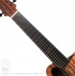 P-Alien (Piccolo Guitar)【サウンドメッセin大阪 2026出展作品】4