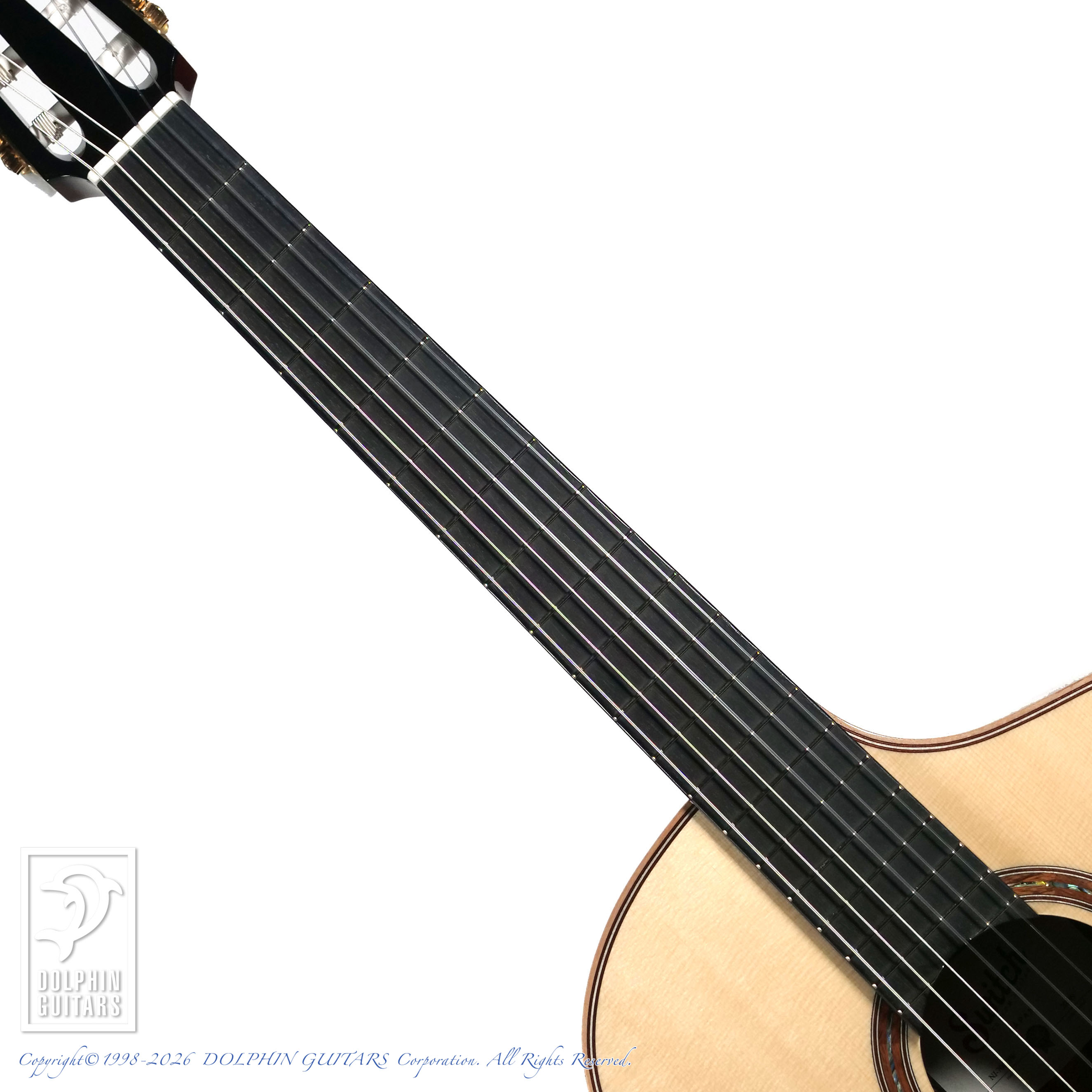 SWITCH NJ-70C RW -Nylon Jazz-|ドルフィンギターズ