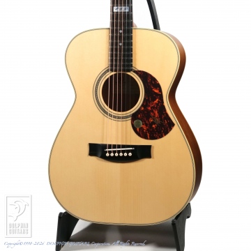 166 EBG808TE (Tommy Emmanuel Signature)