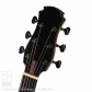 SJ Cutaway (Jacaranda)6