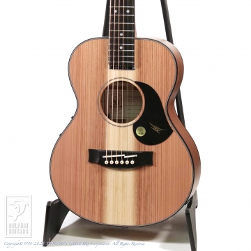 166 RM6 (Mini Maton)