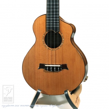  ZC-01UK