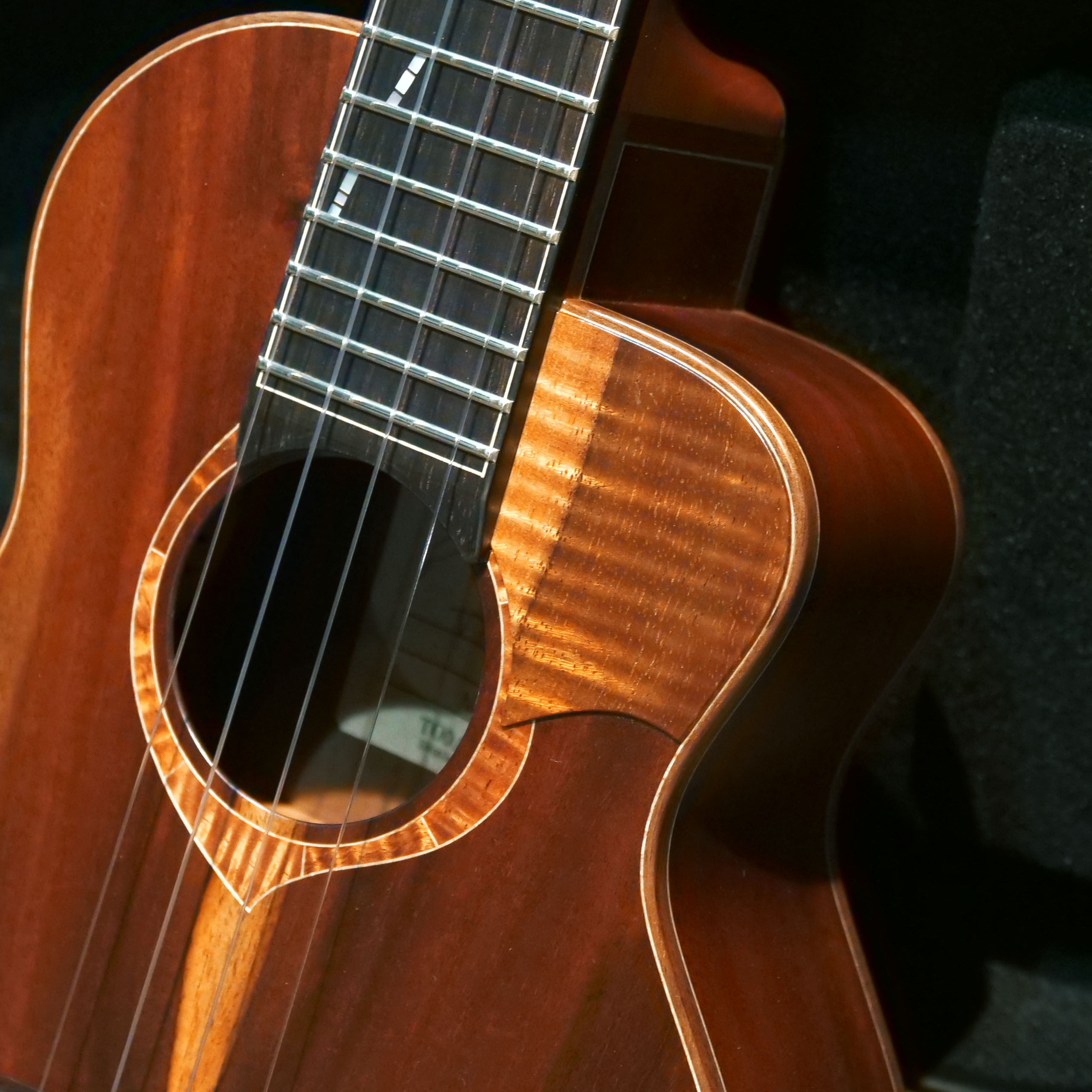 貴重!アド・ヴァンスト・ゴルフ.ベースボールマガジン社キャリーミドルコフ初版 TODA GUITARS VT-CW (ALL Hawaiian Milo)|ドルフィンギターズ