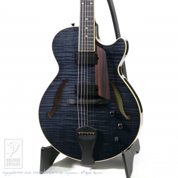 Kikuchi Guitars MF15S (Trans Black)|ドルフィンギターズ