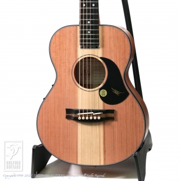 166 RM6 (Mini Maton)