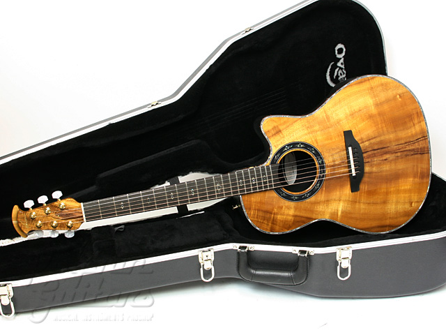 今では激レアなドルフィン◆2009◆ WATER ROAD GUITARS Deep Arte 