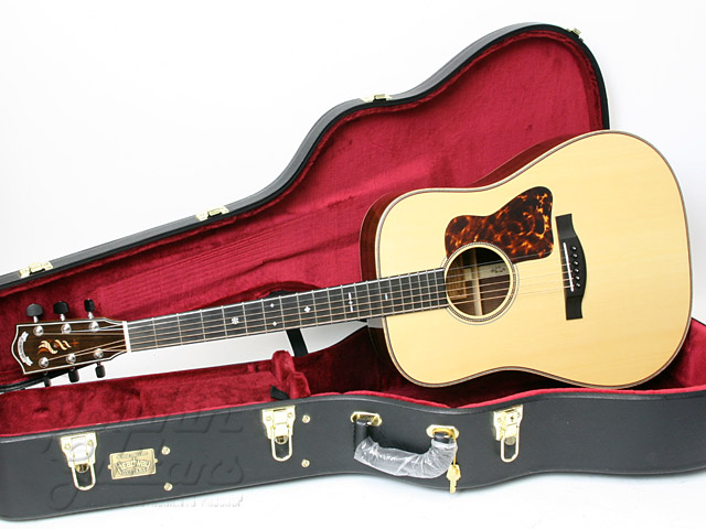 HEADWAY HD-528|ドルフィンギターズ