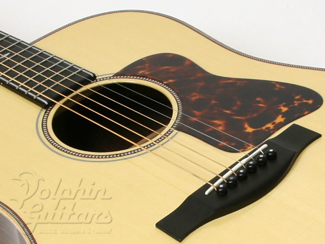 HEADWAY HD-528|ドルフィンギターズ