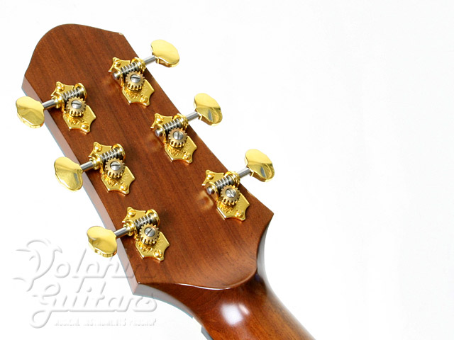 ALLMAN TSQ-44V |ドルフィンギターズ