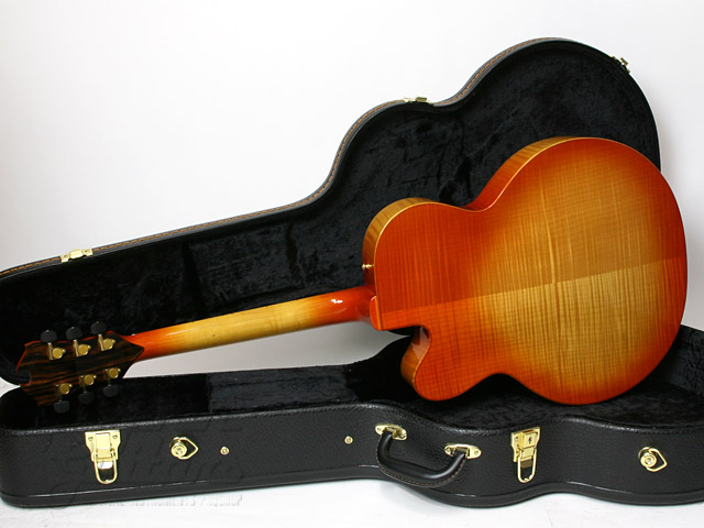 D'AQUISTO DQ-CR (Centura)|ドルフィンギターズ