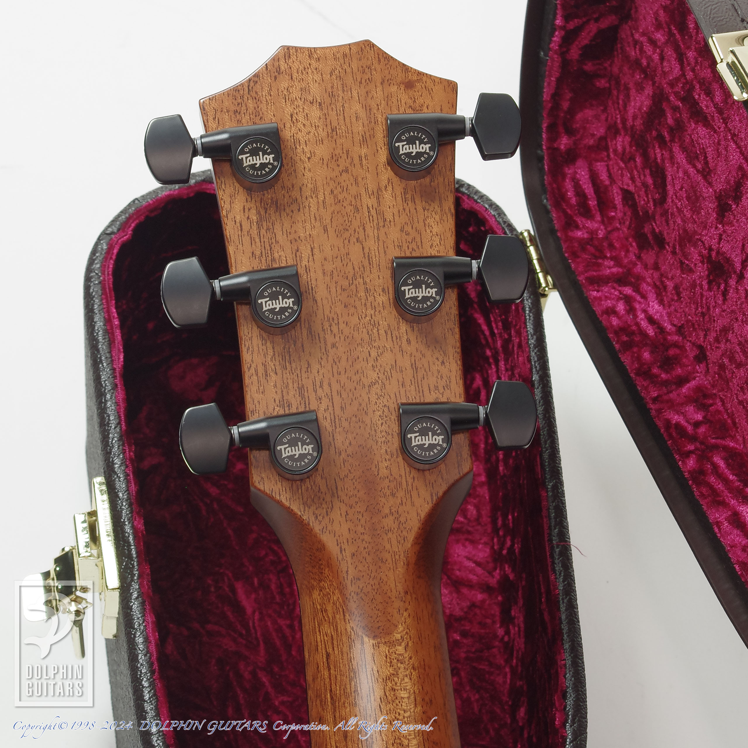 ギター taylor 324ce black wood TAYLOR 324ce Blackwood V-Class|ドルフィンギターズ