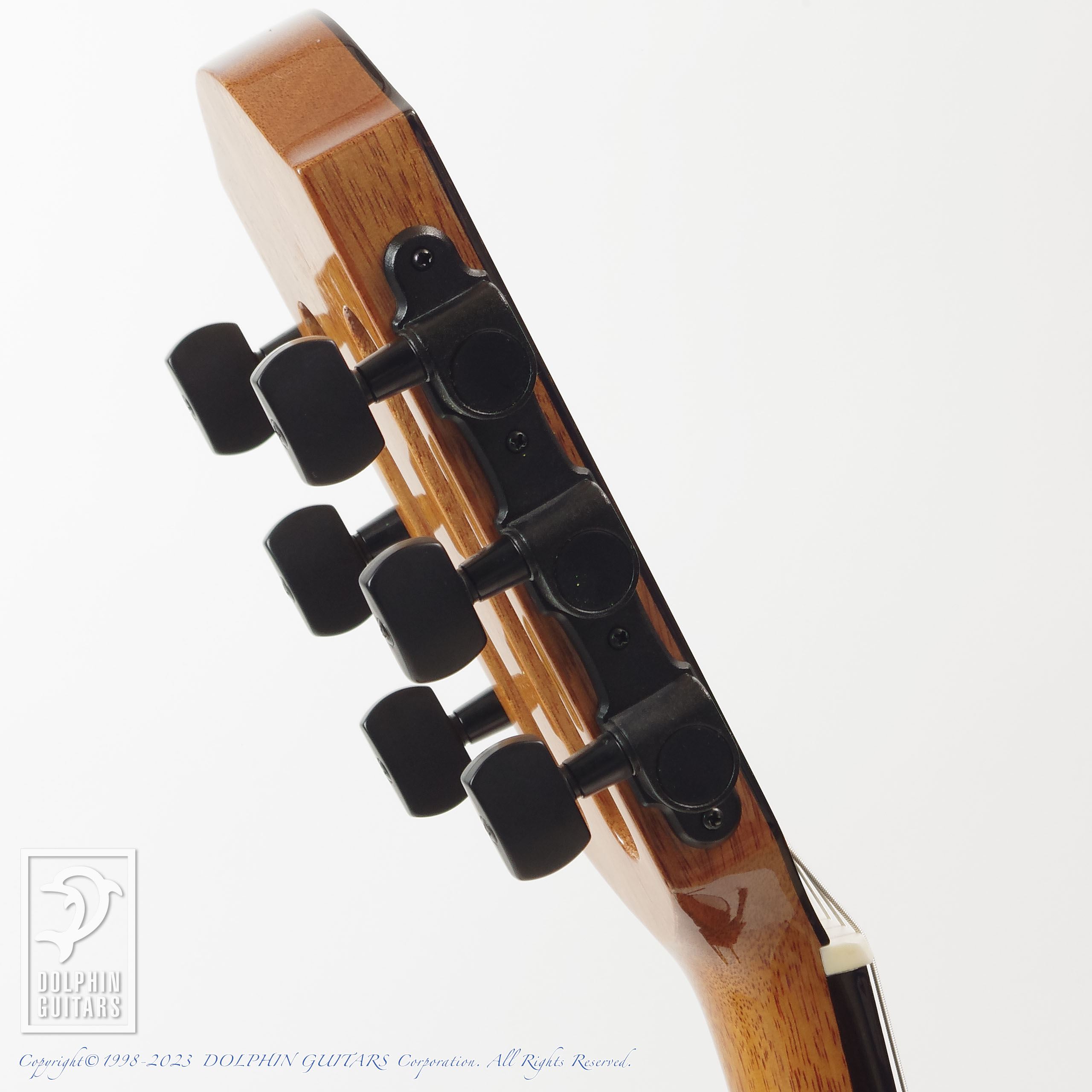 aNueNue aNN-MN14E (Electric Nylon Strings)|ドルフィンギターズ