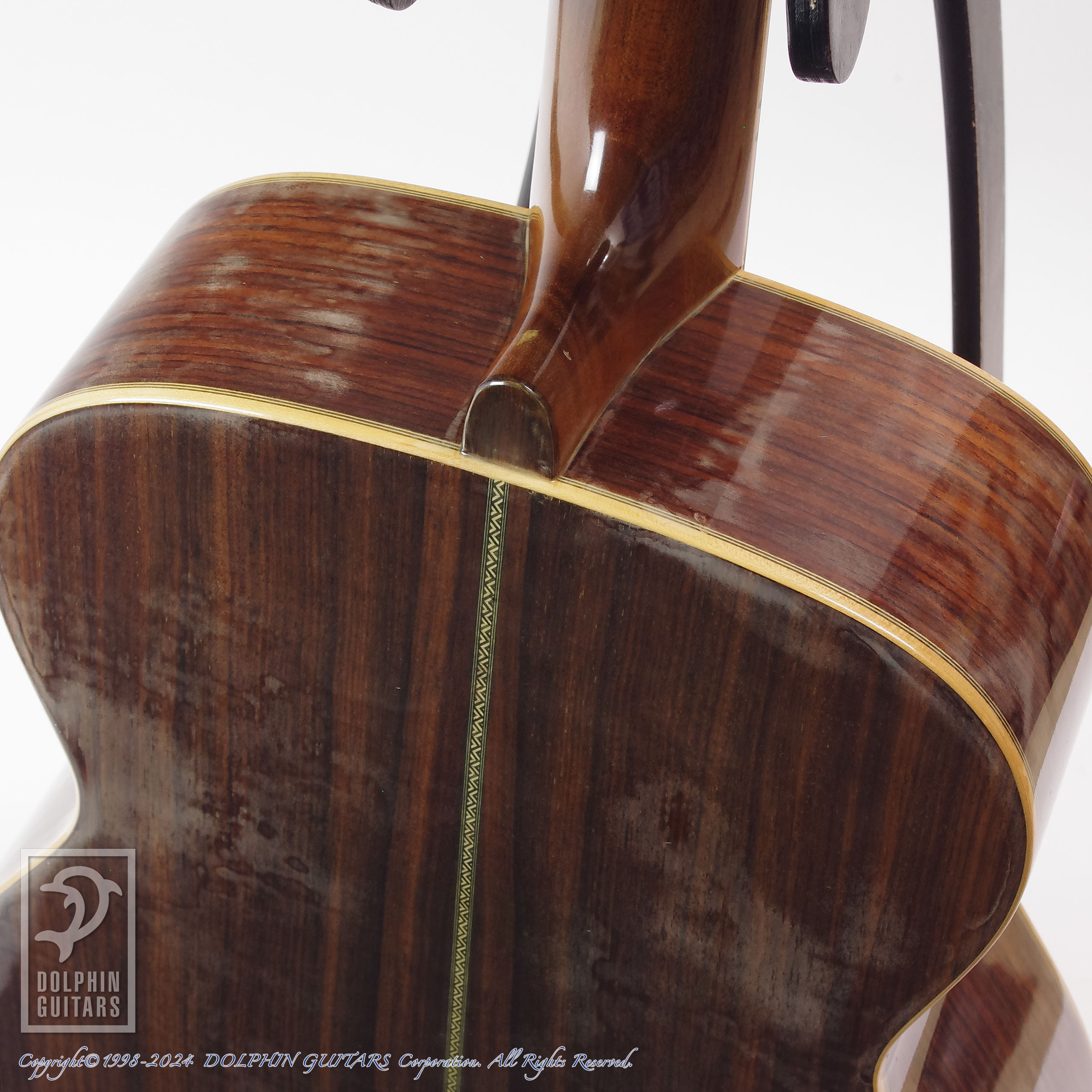 ASTURIAS Herringbone Auditorium|ドルフィンギターズ