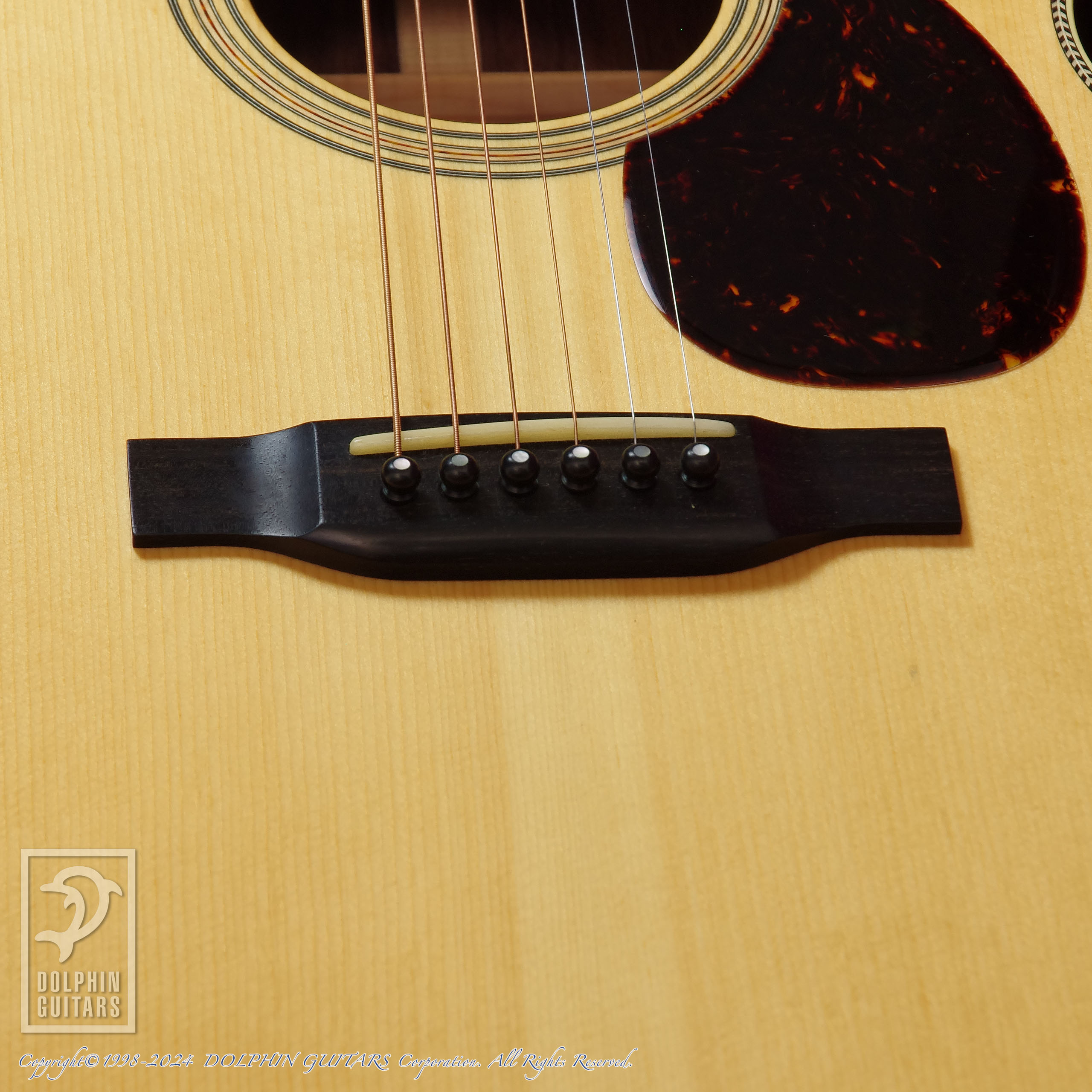 SWITCH SCOM-2H A (Adirondack Spruce)|ドルフィンギターズ
