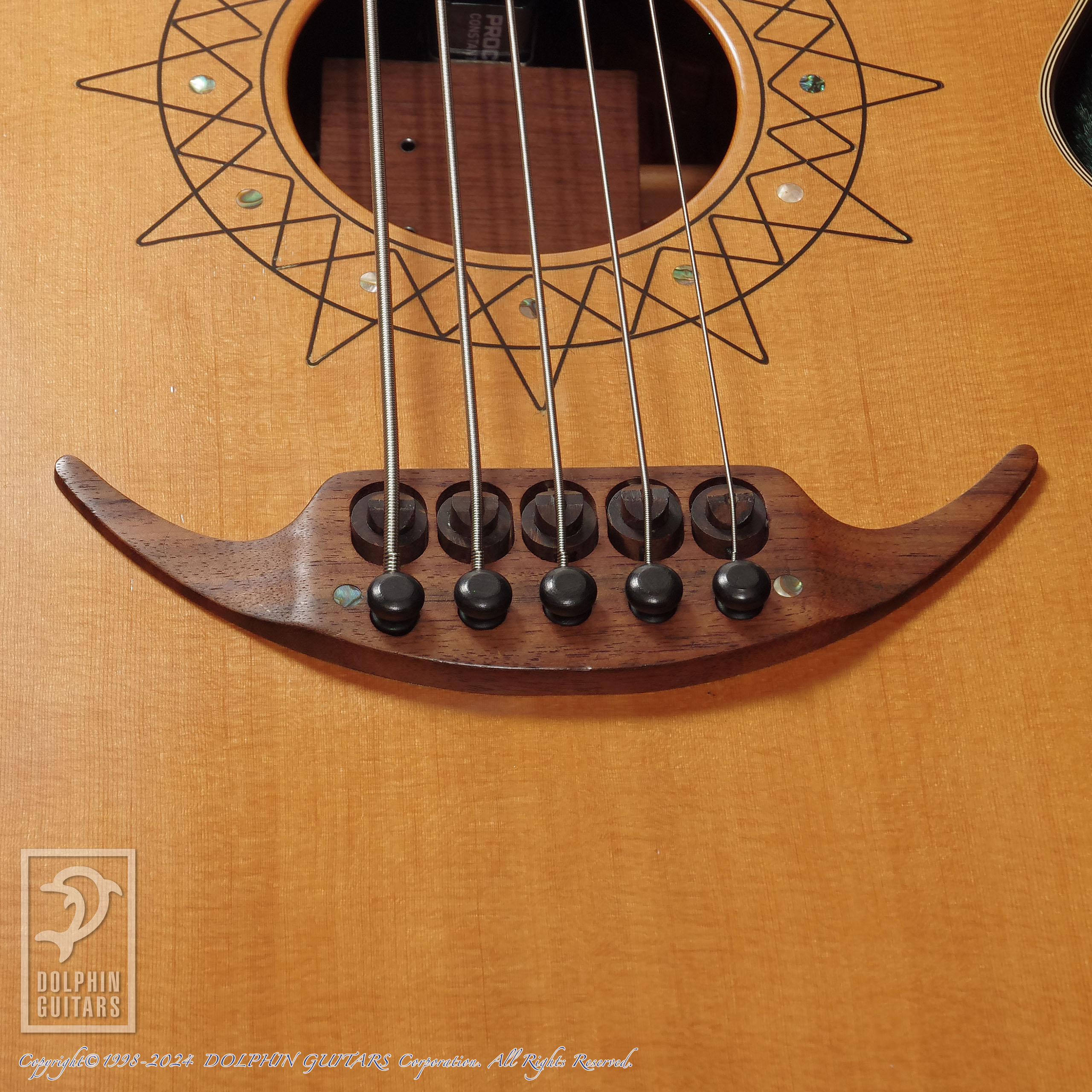 Tune Guitar Maniac TAB-345 (Acoutstic Bass)|ドルフィンギターズ