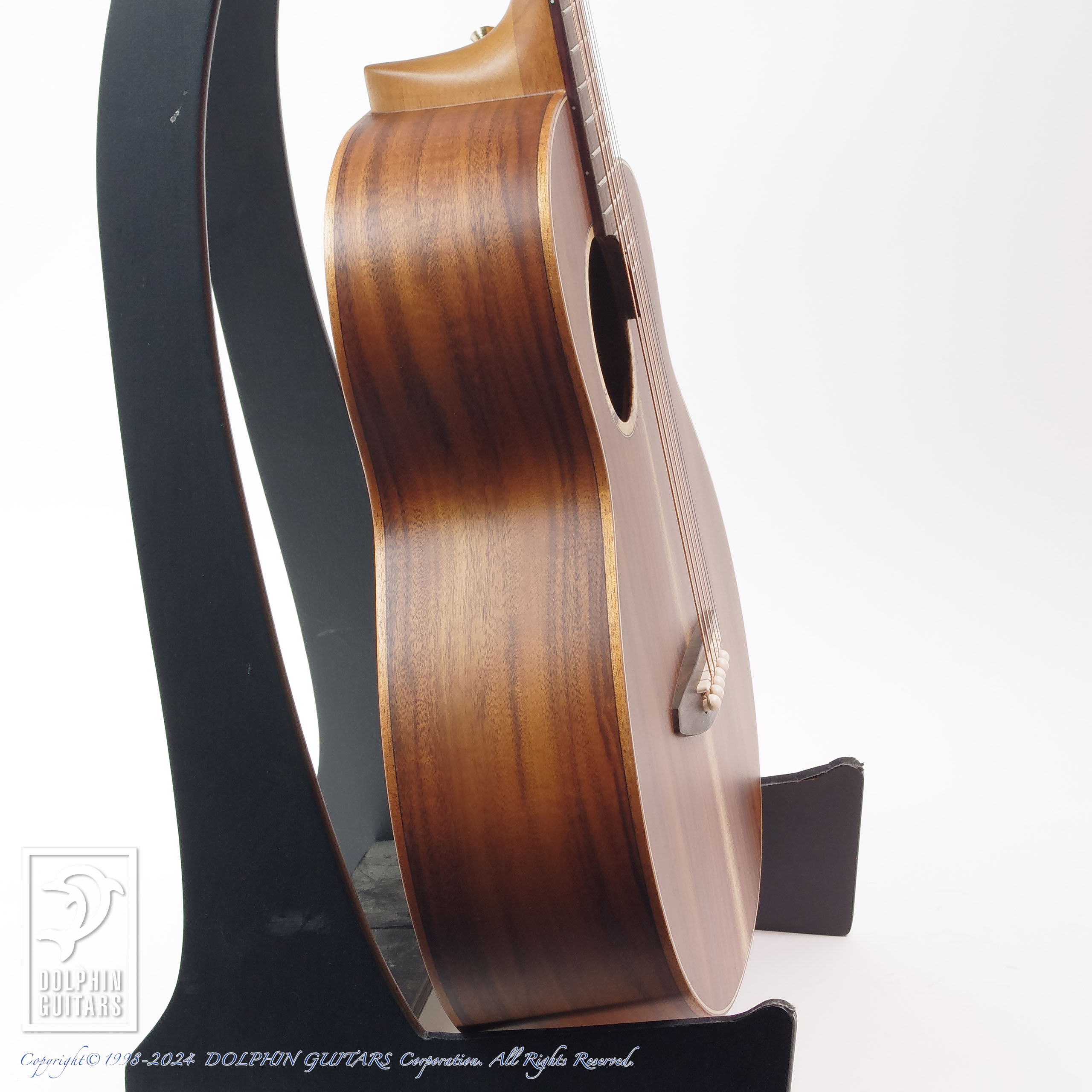 aNueNue aNN-M30E (All Acacia body)|ドルフィンギターズ